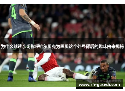 为什么球迷亲切称呼维尔贝克为黑贝这个外号背后的趣味由来揭秘