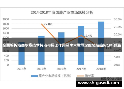 全面解析洛塞尔索技术特点与场上作用及未来发展深度总结趋势分析报告